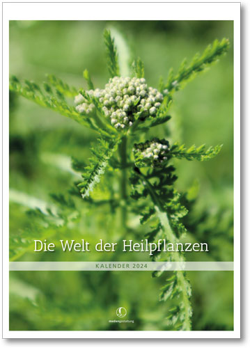 Kalender 2024