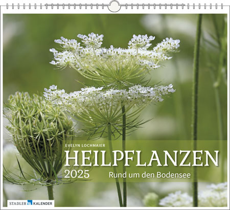 Kalender 2025