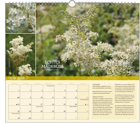 Kalender 2026