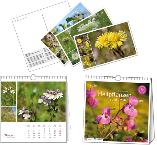 PK Kalender 2026